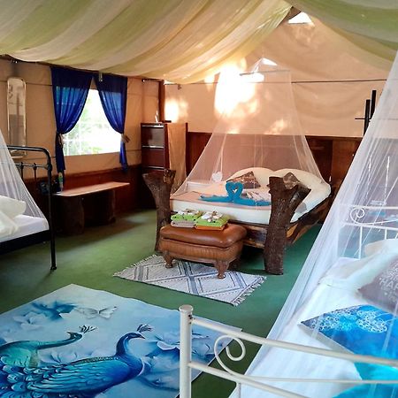 Fully Furnished Family Jungle Tent, Latino Glamping Paquera Hotel Exterior photo