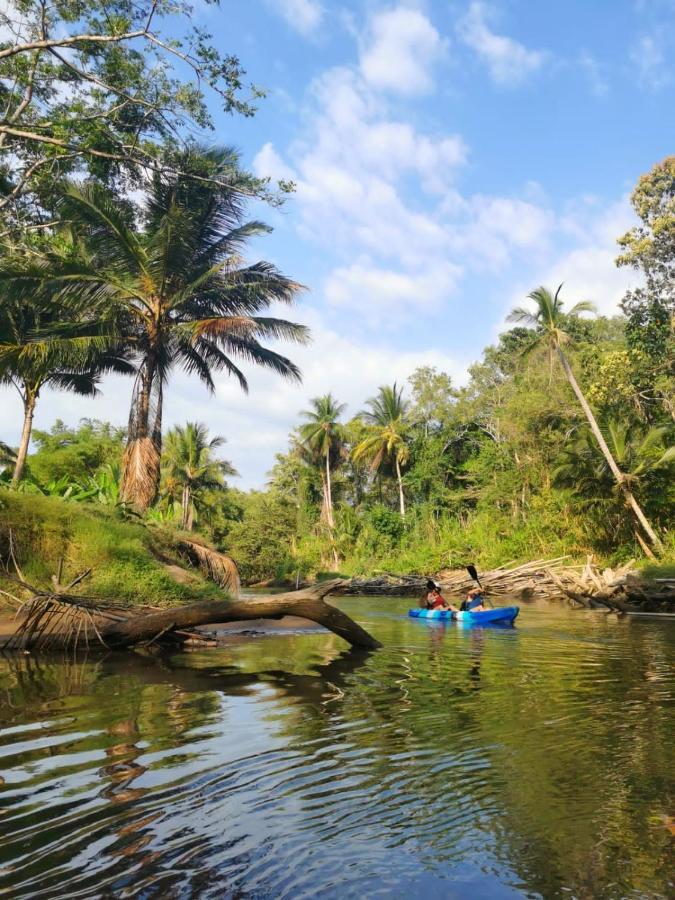 Fully Furnished Family Jungle Tent, Latino Glamping Paquera Exterior photo