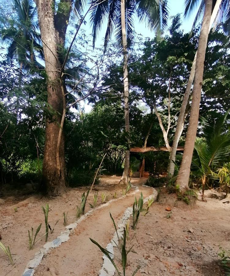 Fully Furnished Family Jungle Tent, Latino Glamping Paquera Exterior photo