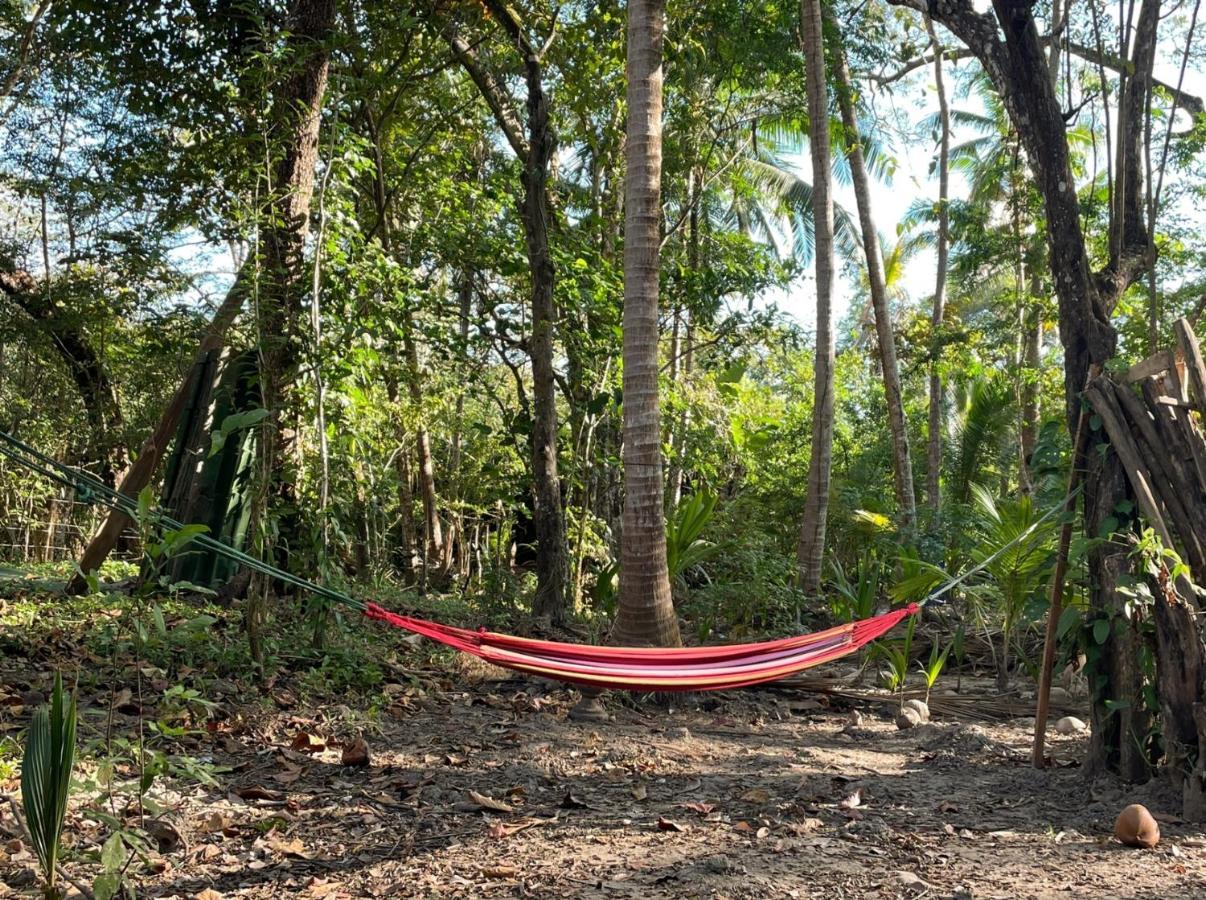 Fully Furnished Family Jungle Tent, Latino Glamping Paquera Exterior photo
