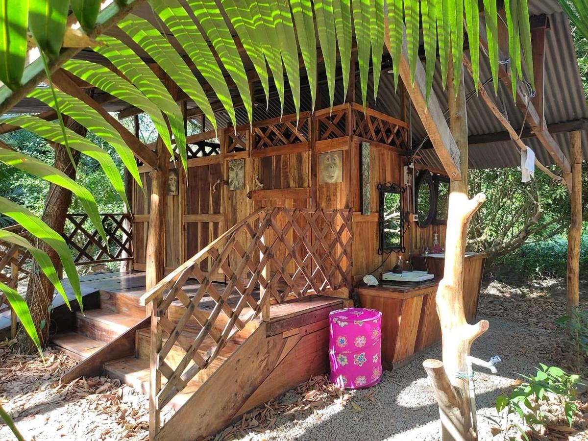 Fully Furnished Family Jungle Tent, Latino Glamping Paquera Exterior photo