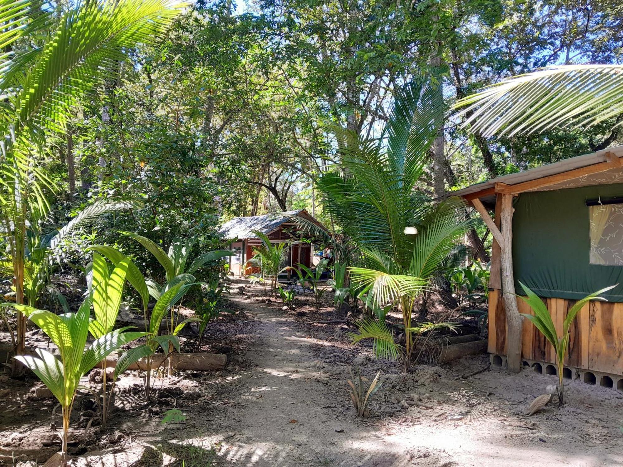Fully Furnished Family Jungle Tent, Latino Glamping Paquera Exterior photo