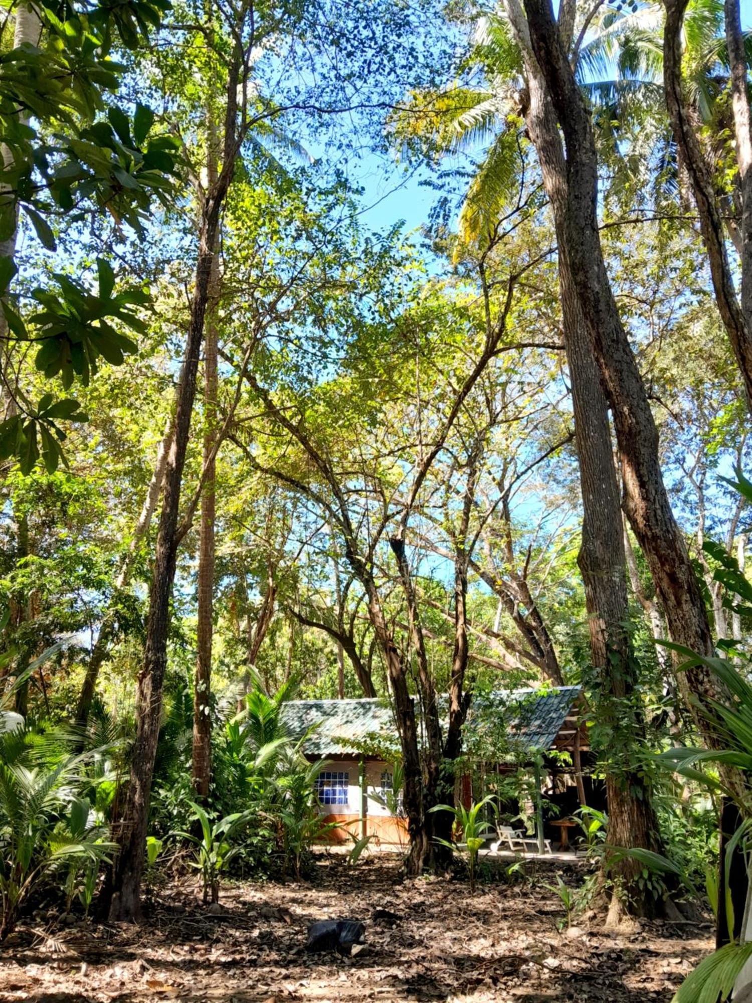 Fully Furnished Family Jungle Tent, Latino Glamping Paquera Hotel Exterior photo