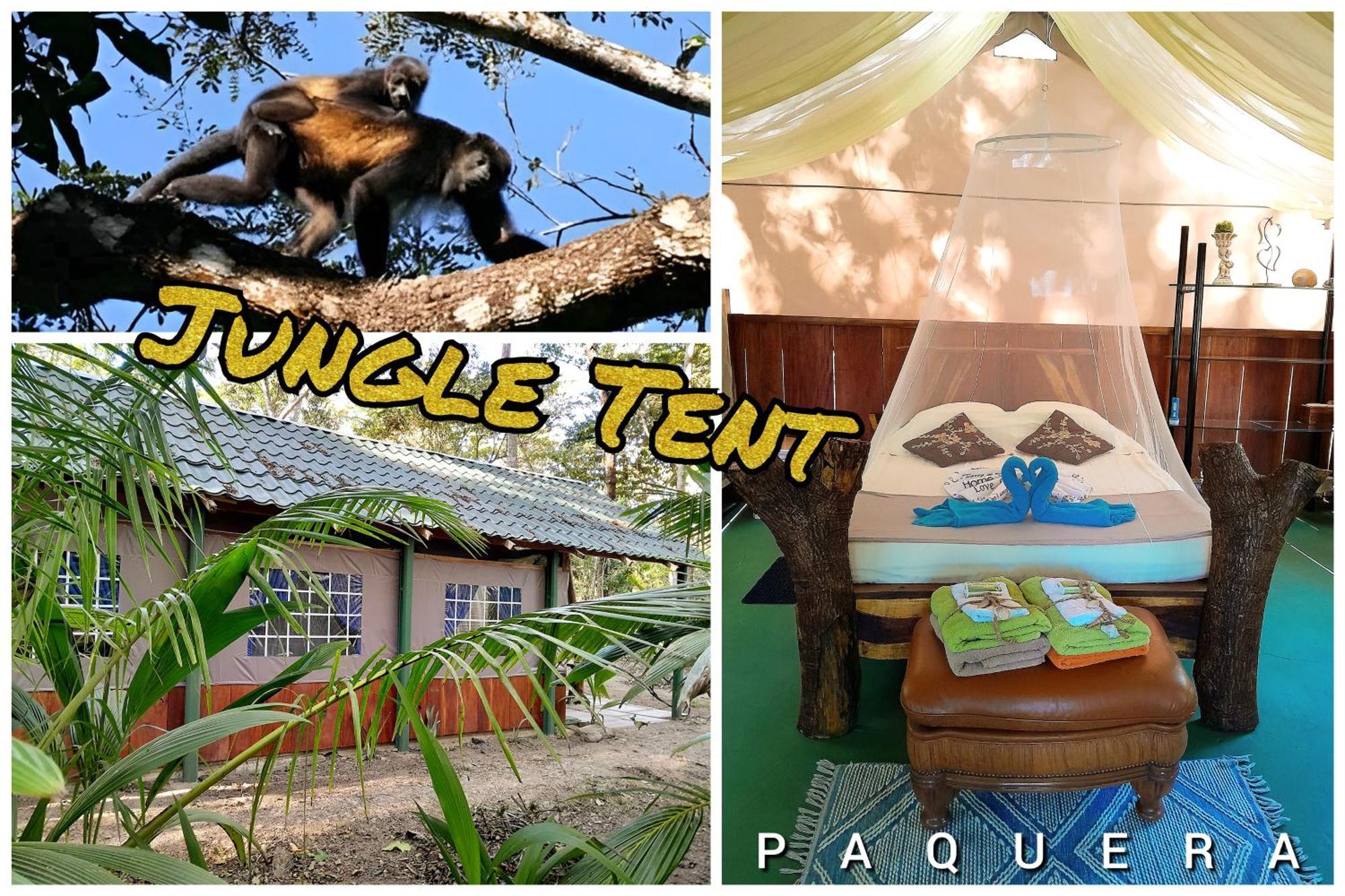 Fully Furnished Family Jungle Tent, Latino Glamping Paquera Hotel Exterior photo