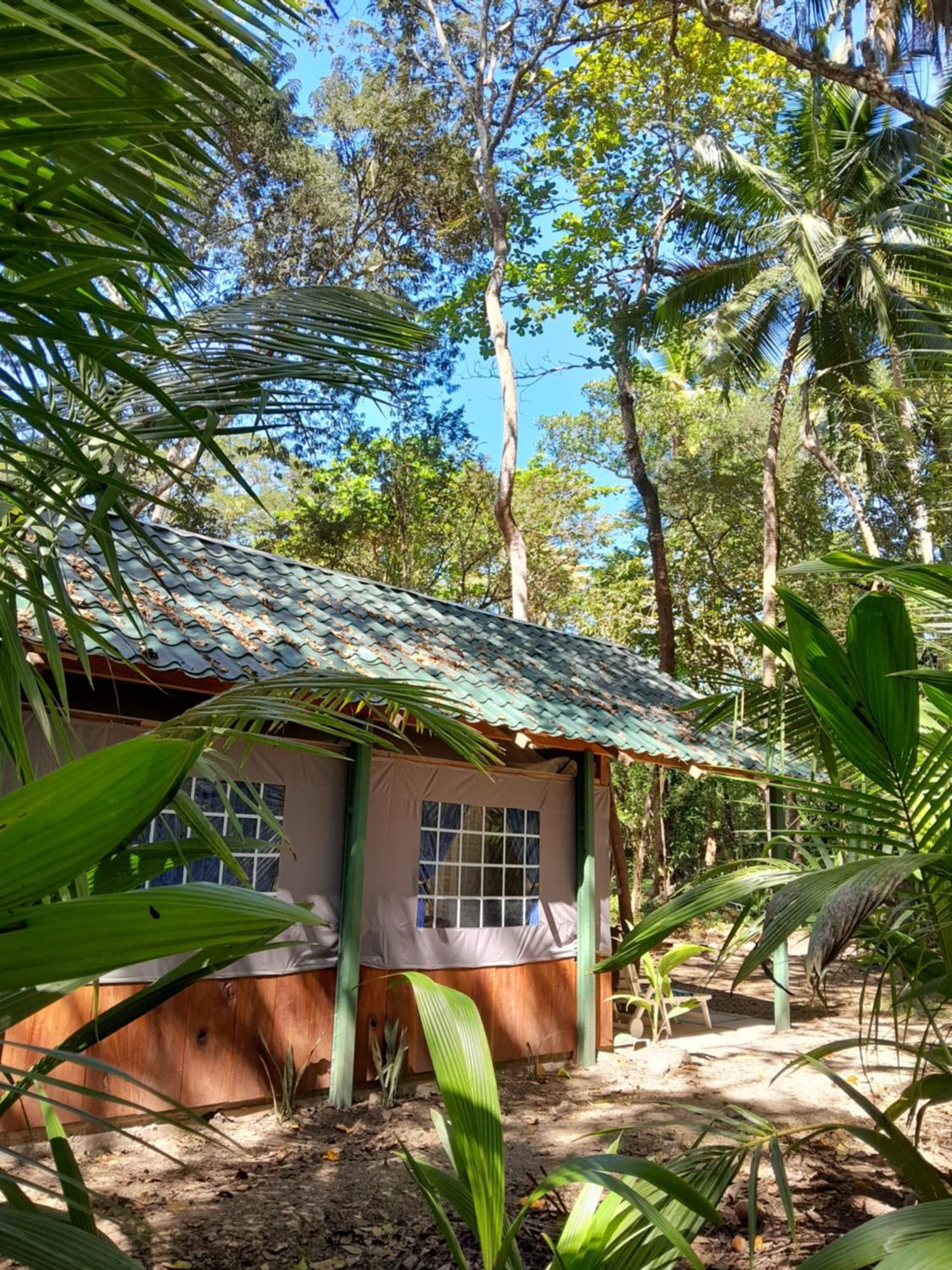 Fully Furnished Family Jungle Tent, Latino Glamping Paquera Hotel Exterior photo