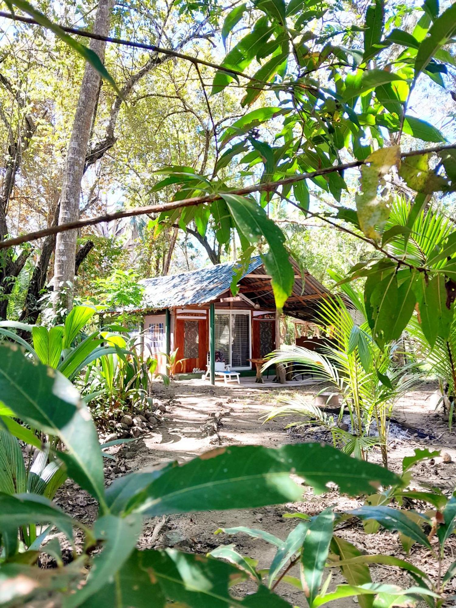 Fully Furnished Family Jungle Tent, Latino Glamping Paquera Exterior photo