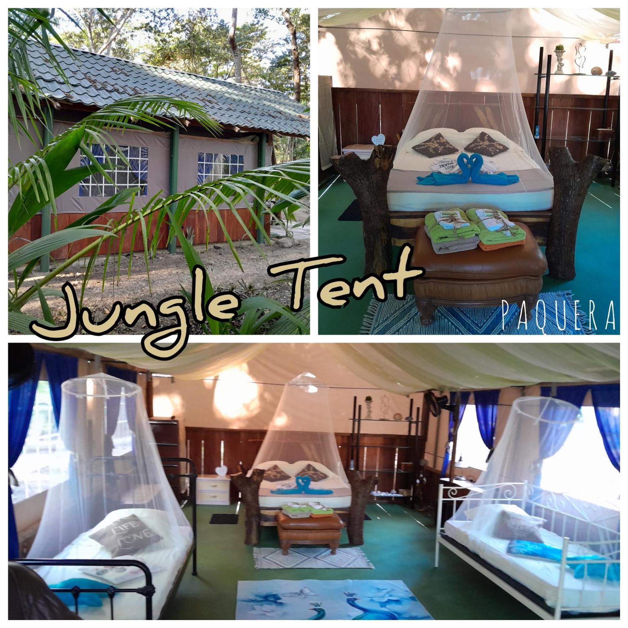 Fully Furnished Family Jungle Tent, Latino Glamping Paquera Exterior photo
