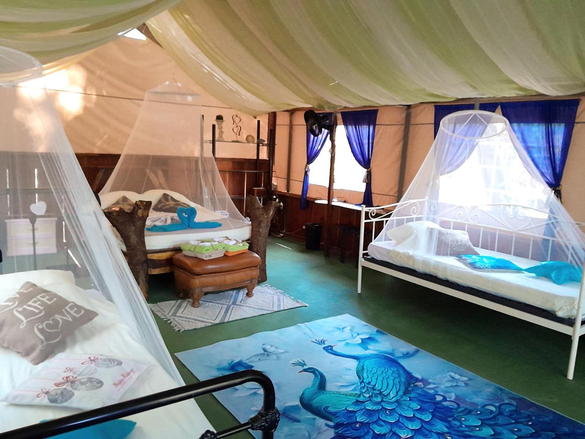Fully Furnished Family Jungle Tent, Latino Glamping Paquera Exterior photo