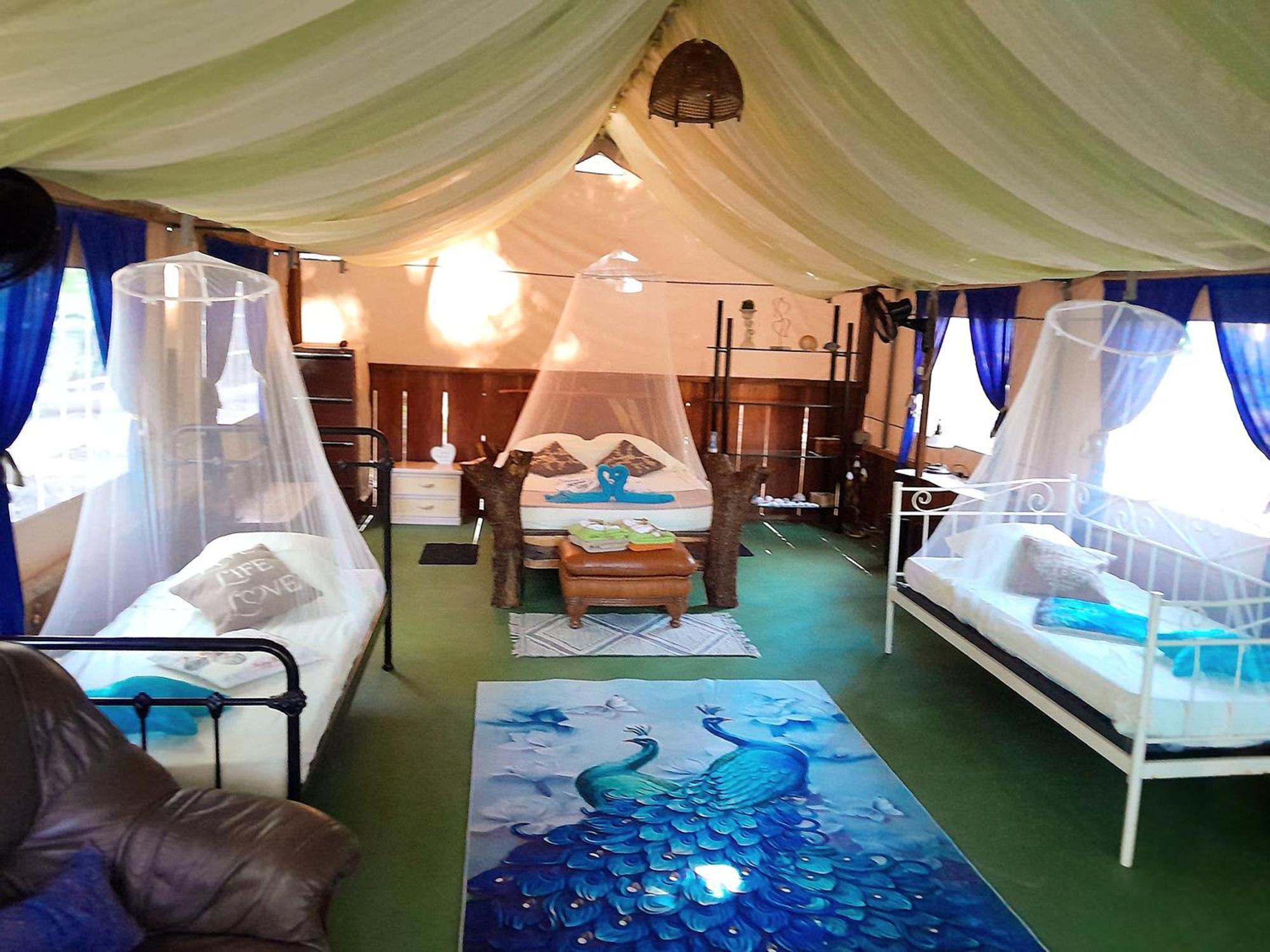 Fully Furnished Family Jungle Tent, Latino Glamping Paquera Exterior photo