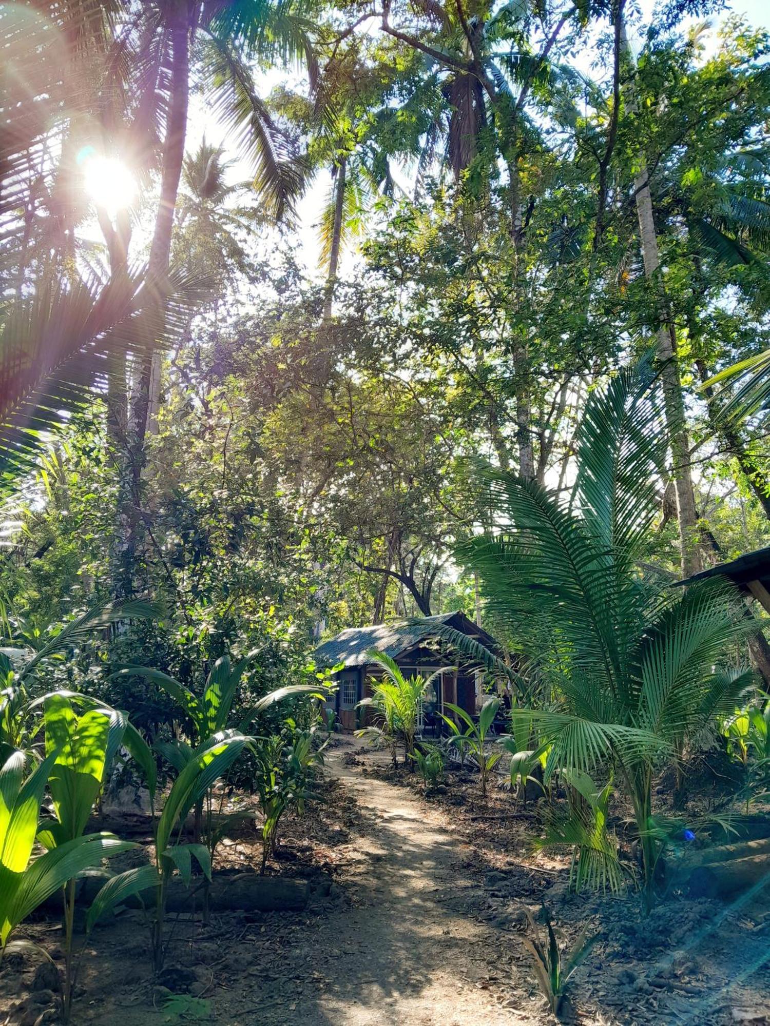 Fully Furnished Family Jungle Tent, Latino Glamping Paquera Hotel Exterior photo